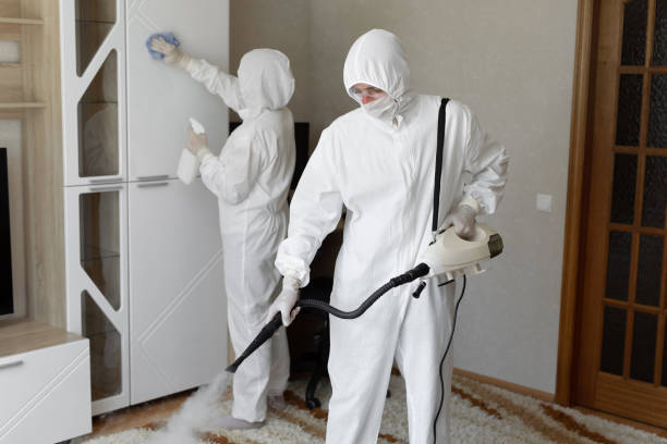 Best Local Mold Removal Service  in Ashland, NJ